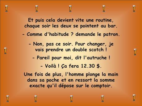 Divers - Le vieil homme et l'autruche