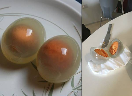 Les œufs de manchots sont pauvres en ovalbumine qui est remplacée par la penalbumine, permettant aux embryons de mieux résister au froid. Bouillis, les 