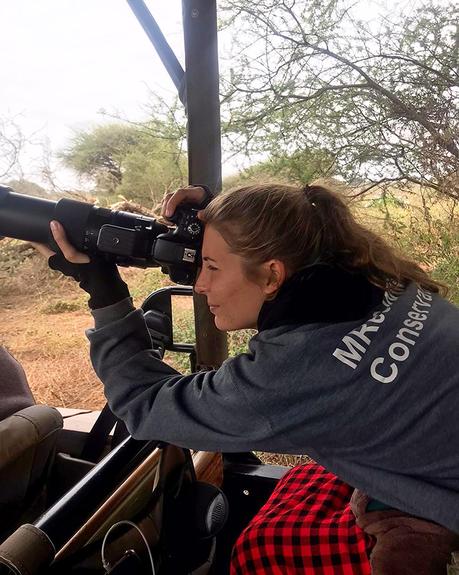 Un aperçu du portrait de lionne féroce par Lara Jackson Dans le parc national de Tarangire, en Tanzanie,