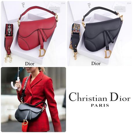 harga dior saddle