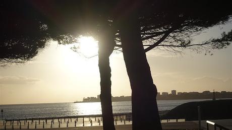 déconstruction déconstruction