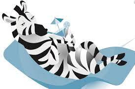 Zen zèbre – Développer ses talents quand on est un adulte surdoué • Clotilde Poivilliers Zen zèbre – Développer ses talents quand on est un adulte surdoué • Clotilde Poivilliers