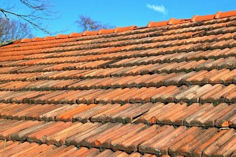 Nettoyage de toiture en automne : guide et astuces
