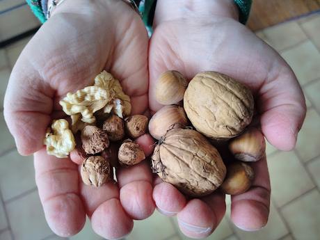 Comment obtenir des lipides en autonomie alimentaire ? (vidéo)