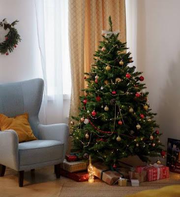 Les 3 BD lues cette année, à mettre sous le sapin de Noël - édition 2021 : les résultats