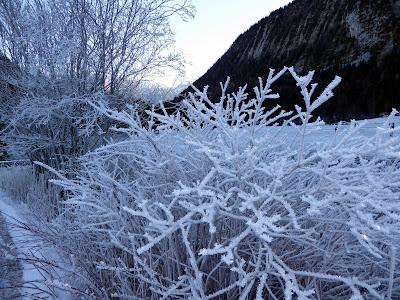 Winterlicher Ferchensee — 20 Bilder / Le Ferchensee en hiver — 20 photos Winterlicher Ferchensee — 20 Bilder / Le Ferchensee en hiver — 20 photos