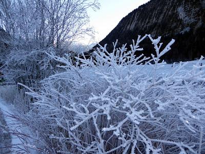 Winterlicher Ferchensee — 20 Bilder / Le Ferchensee en hiver — 20 photos