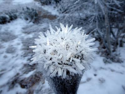 Winterlicher Ferchensee — 20 Bilder / Le Ferchensee en hiver — 20 photos Winterlicher Ferchensee — 20 Bilder / Le Ferchensee en hiver — 20 photos