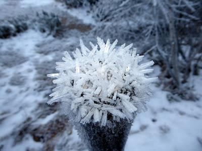 Winterlicher Ferchensee — 20 Bilder / Le Ferchensee en hiver — 20 photos