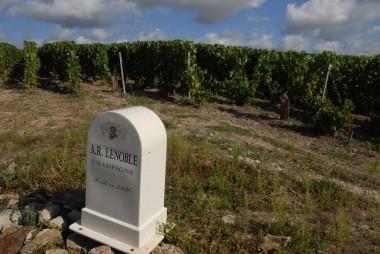 La Fête…malgré tout ! La Fête…malgré tout !