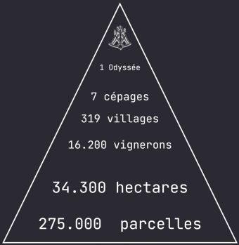 pyramide319 La Fête…malgré tout !