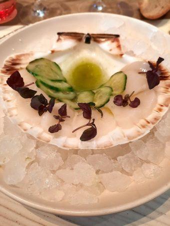 Saint-Jacquesx crues, cocombre marinz ayunjkkiul,w Saint-Jacquesx crues, cocombre marinz ayunjkkiul,w