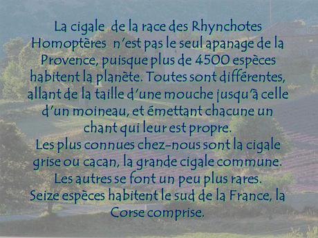 Divers - Le Mystère des Cigales