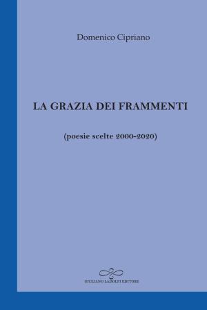 Domenico Cipriano / La grazia dei frammenti