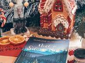 [Lecture] Noël Silver Peaks romance comme aime