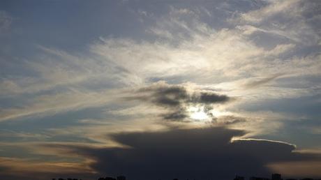 avec des mots avec des mots