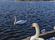 Schnee Nymphenburg Bilder photos Nymphenbourg sous neige