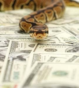 Mes Sous/Ta Main Galleuse Mes Sous/Ta Main Galleuse