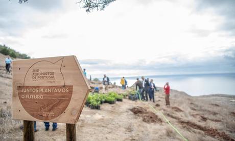 Reforestation Portugal 3.jpg