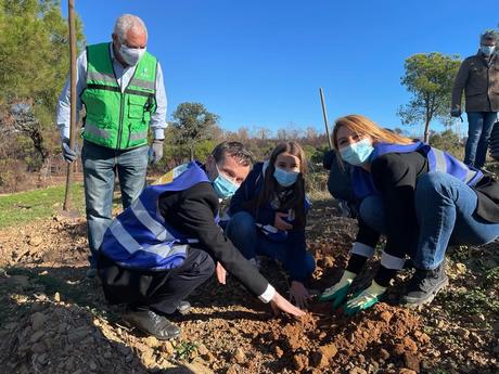 Reforestation Portugal 1.jpg