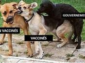 Flashs Actu décembre