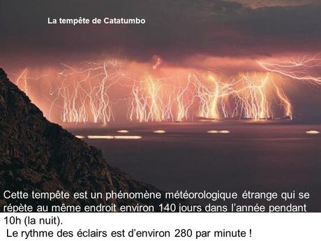 Divers - Etrange Nature - 1