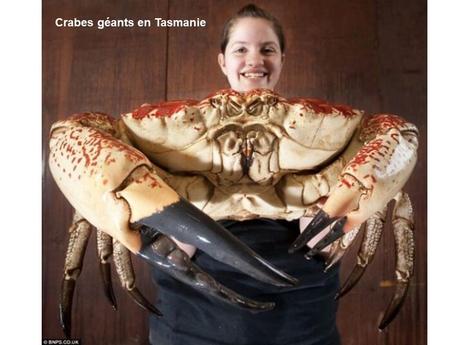 Divers - Etrange Nature - 1