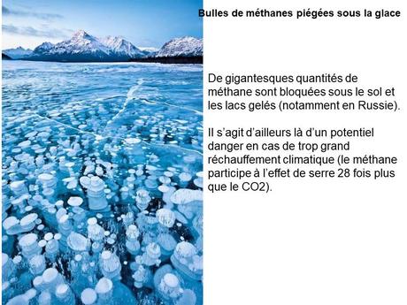 Divers - Etrange Nature - 1