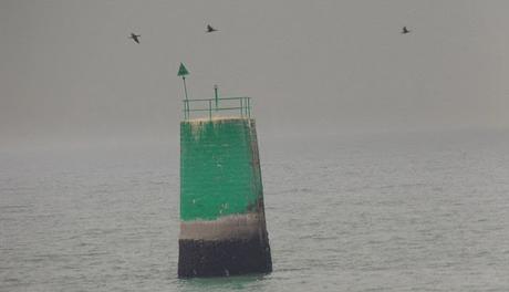 marge arrière, marche avant marge arrière, marche avant