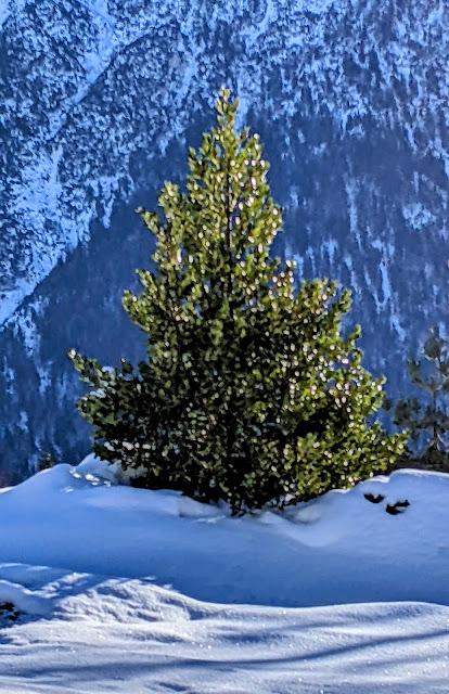 Mittenwald — 27 Fotos — 3. Advent Wanderung — Promenade hivernale — 27 photos