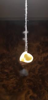 C'est l'histoire d'une nouille