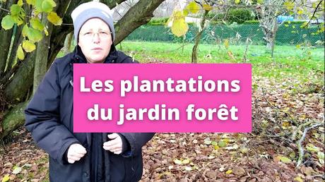 Jardin forêt : quelques exemples d'aménagements et de plantations (vidéo)