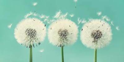 La vie est Respiration La vie est Respiration