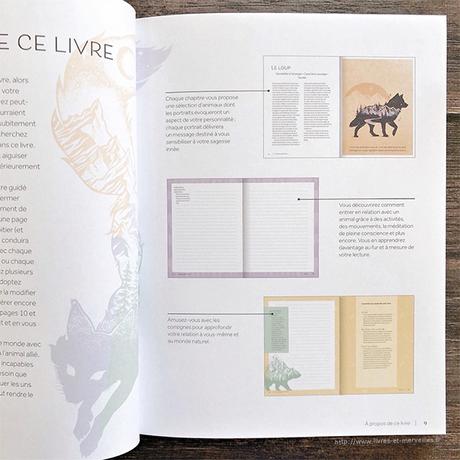 Développement personnel : 🐺 Animaux Totems 🐺 Développement personnel : 🐺 Animaux Totems 🐺