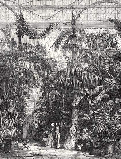 1Palm-House-1852-420