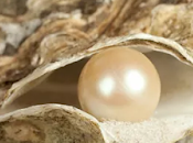 quelques jours cela, regardais interview...