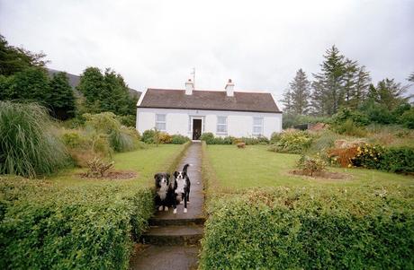 TOM WOOD – IRISH WORK