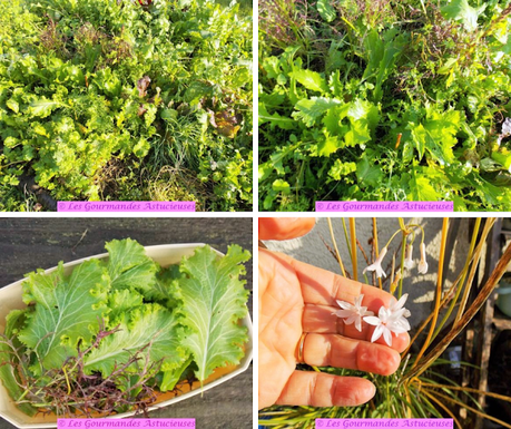 Buddha bowl à l'asiatique (Vegan) Buddha bowl à l'asiatique (Vegan)