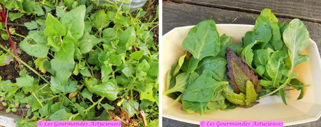 Buddha bowl à l'asiatique (Vegan) Buddha bowl à l'asiatique (Vegan)