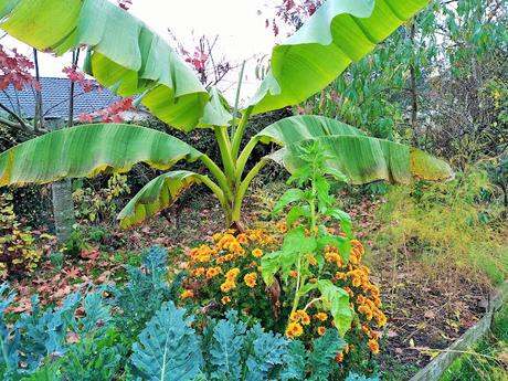 Calendrier lunaire Janvier Février 2022