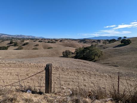 Les smartphones Pixel 6 de Google sont les meilleurs Android que vous puissiez acheter, et le prix est correct