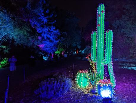 Les smartphones Pixel 6 de Google sont les meilleurs Android que vous puissiez acheter, et le prix est correct