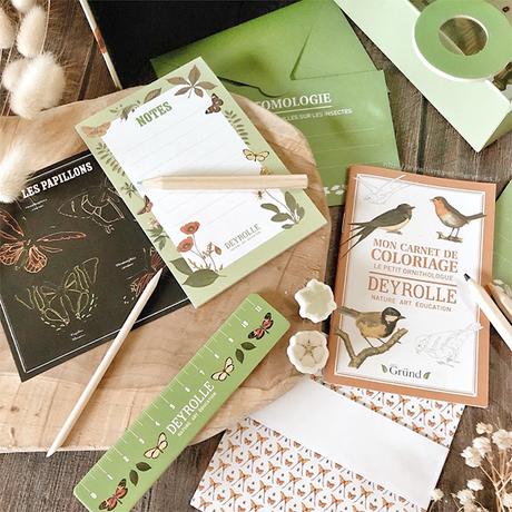 Activité jeunesse : 🔎🦋 Mon premier cabinet de curiosités 🦋🔍 Activité jeunesse : 🔎🦋 Mon premier cabinet de curiosités 🦋🔍