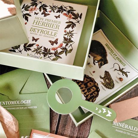 Activité jeunesse : 🔎🦋 Mon premier cabinet de curiosités 🦋🔍 Activité jeunesse : 🔎🦋 Mon premier cabinet de curiosités 🦋🔍