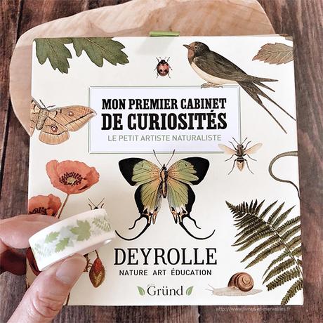 Activité jeunesse : 🔎🦋 Mon premier cabinet de curiosités 🦋🔍 Activité jeunesse : 🔎🦋 Mon premier cabinet de curiosités 🦋🔍