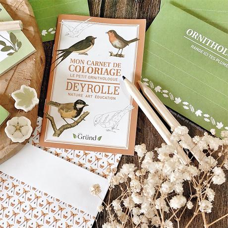 Activité jeunesse : 🔎🦋 Mon premier cabinet de curiosités 🦋🔍 Activité jeunesse : 🔎🦋 Mon premier cabinet de curiosités 🦋🔍