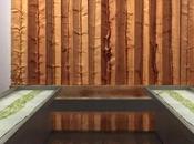 Sève pensée, exposition Giuseppe Penone BNF, Paris