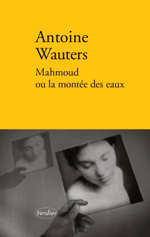 Antoine Wauters / Mahmoud ou la montée des eaux