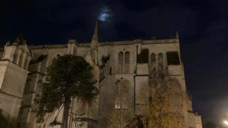 La demi-lune, le désespoir des singes et la cathédrale