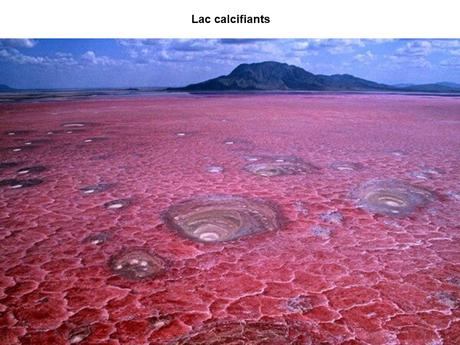 Divers - Etrange nature - 3